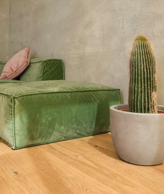 Canessa Home, parquet e interior solutions, resina, porte da interno, Genova